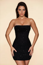 Edyta | Seraphine Mesh Mini Dress