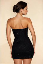 Edyta | Seraphine Mesh Mini Dress